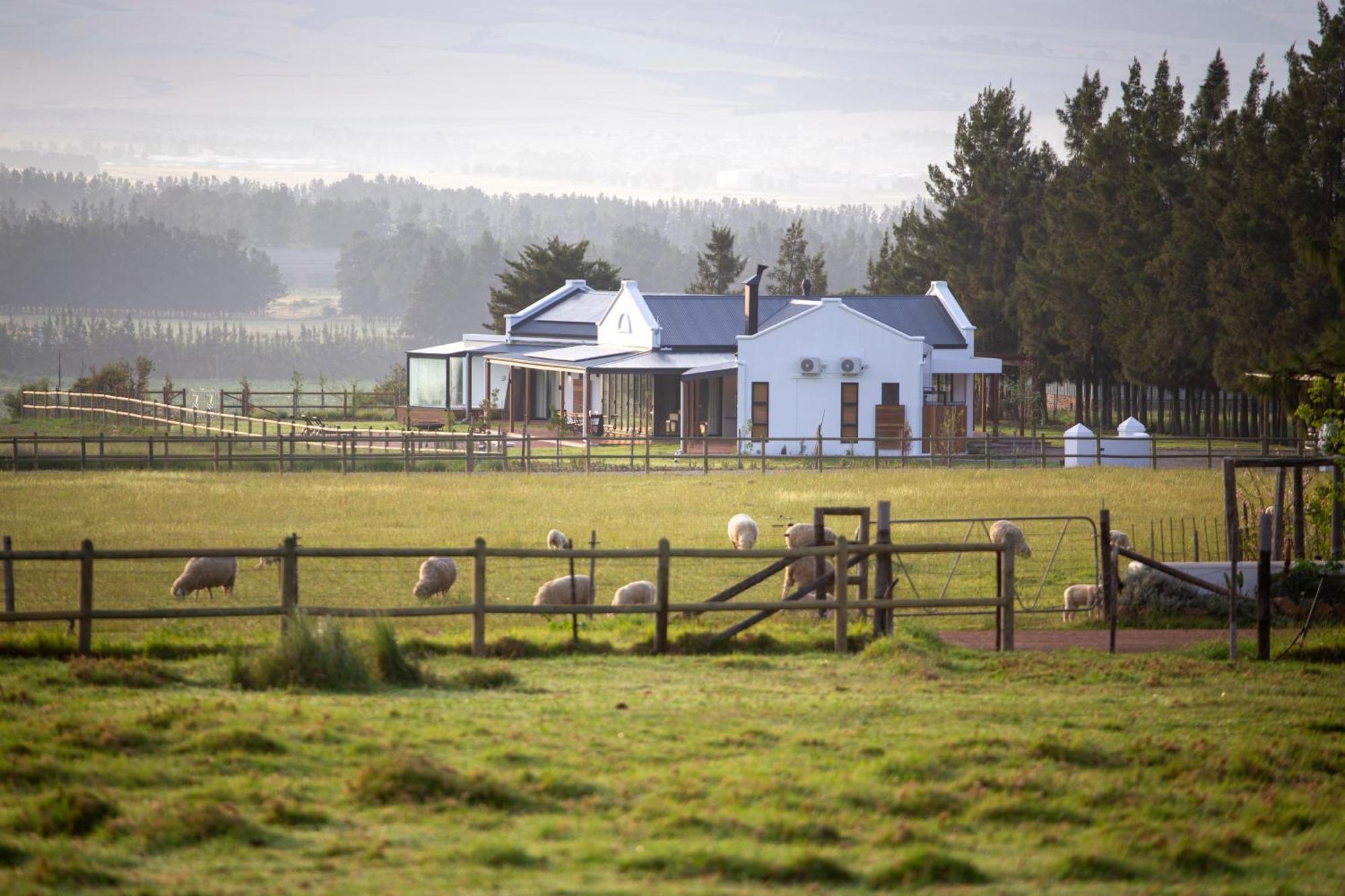 Raptor Rise Tulbagh Exterior photo